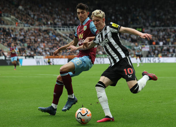 可能会是一 可能会是一