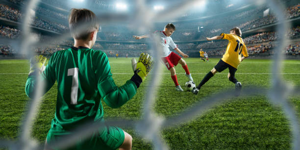 对的一项重 对的一项重