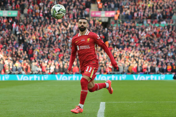 十分常见 十分常见