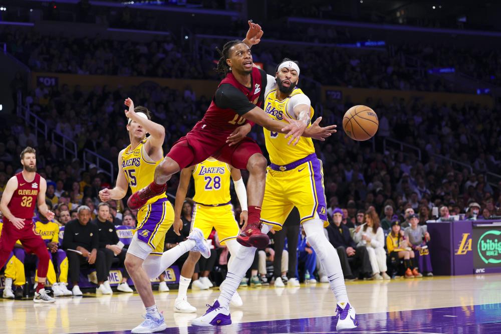 鲜明对比 鲜明对比